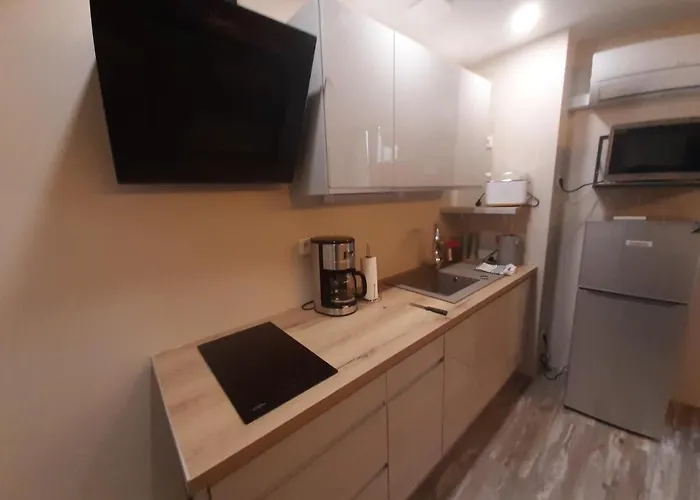 Appartement 3 T2 Cosy De 40 à 50 M2 Idéal Pour Un Déplacement Pro  Les Iris *