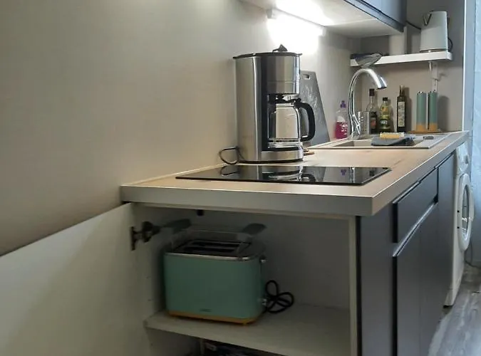 3 T2 Cosy De 40 à 50 M2 Idéal Pour Un Déplacement Pro  Les Iris Appartement *