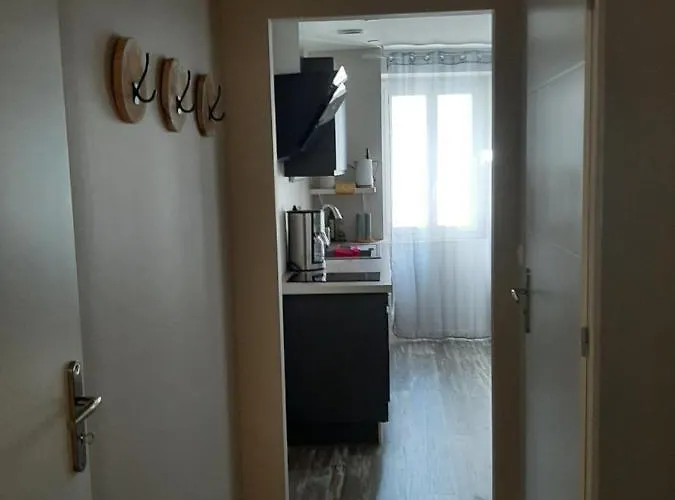 3 T2 Cosy De 40 à 50 M2 Idéal Pour Un Déplacement Pro  Les Iris *