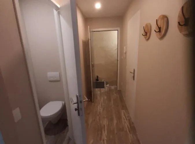 3 T2 Cosy De 40 à 50 M2 Idéal Pour Un Déplacement Pro  Les Iris Appartement