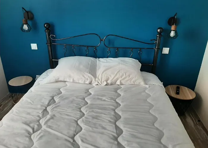 Appartement 3 T2 Cosy De 40 à 50 M2 Idéal Pour Un Déplacement Pro  Les Iris *