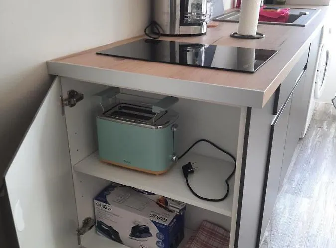 3 T2 Cosy De 40 à 50 M2 Idéal Pour Un Déplacement Pro  Les Iris Appartement *